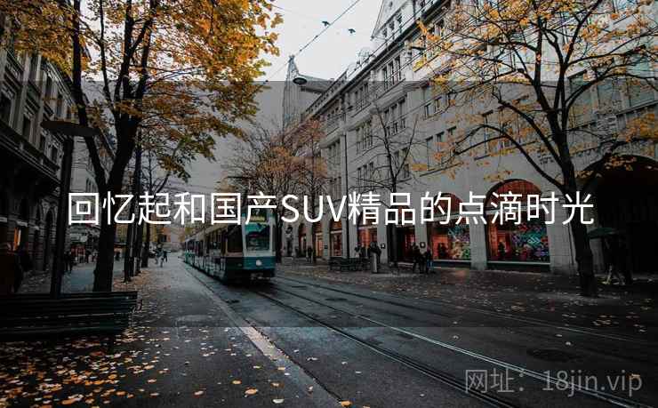 回忆起和国产SUV精品的点滴时光